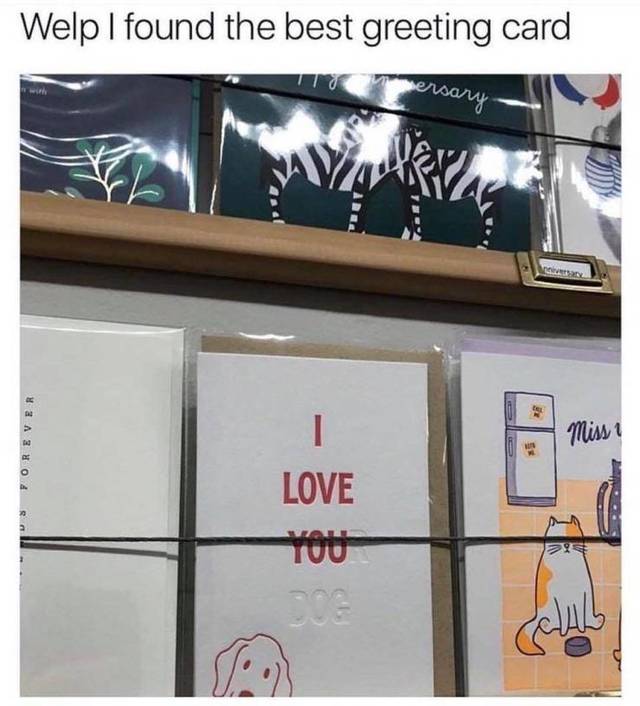 Bildschirmarbeiter - Picdump 22.03.2019