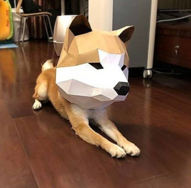 Bildschirmarbeiter - Picdump 29.03.2019