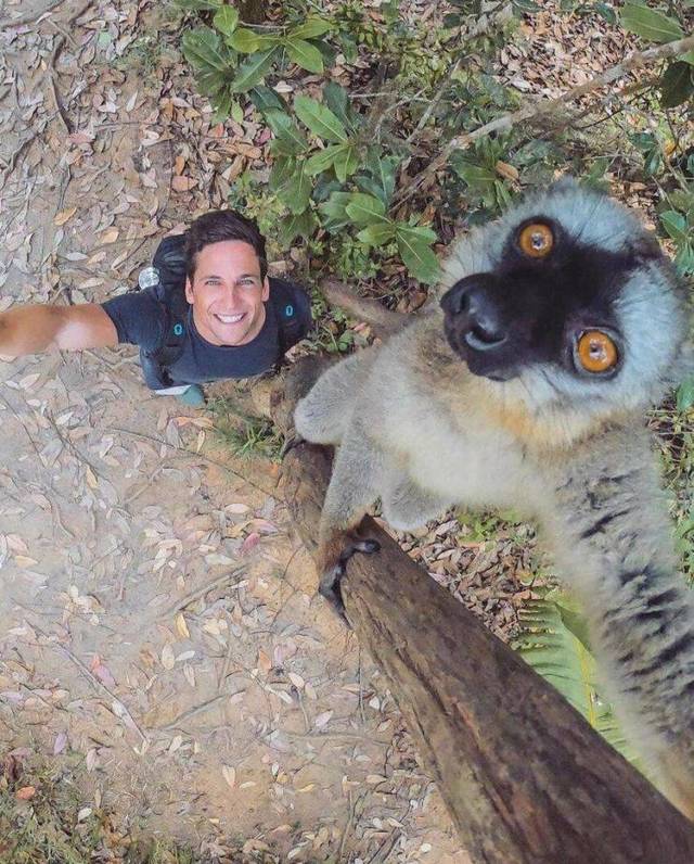 Bildschirmarbeiter - Picdump 29.03.2019