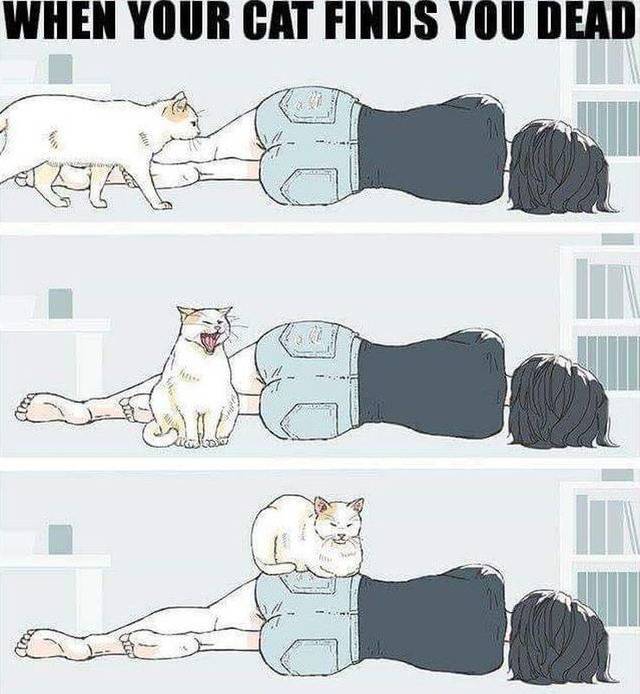 Bildschirmarbeiter - Picdump 29.03.2019