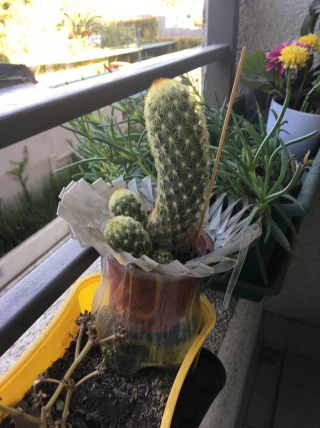 Bildschirmarbeiter - Picdump 29.03.2019