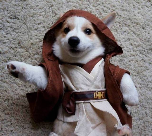 Bildschirmarbeiter - Picdump 29.03.2019