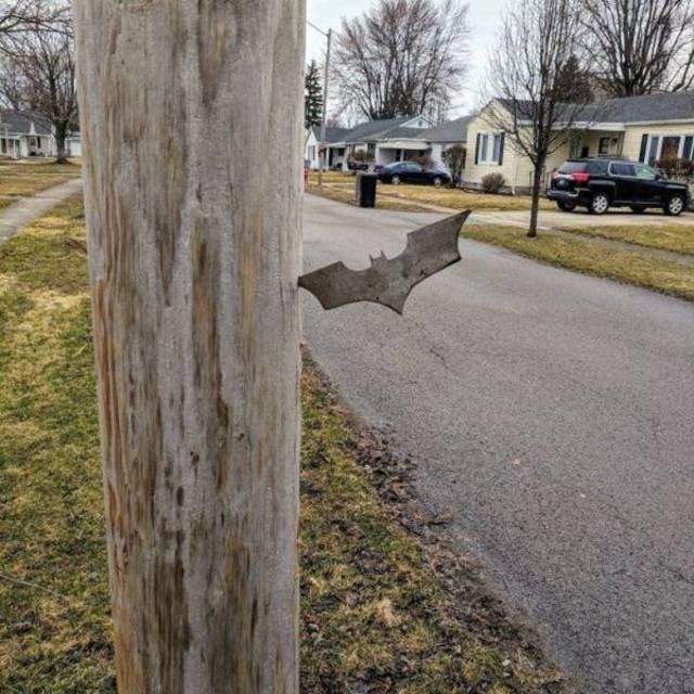 Bildschirmarbeiter - Picdump 29.03.2019