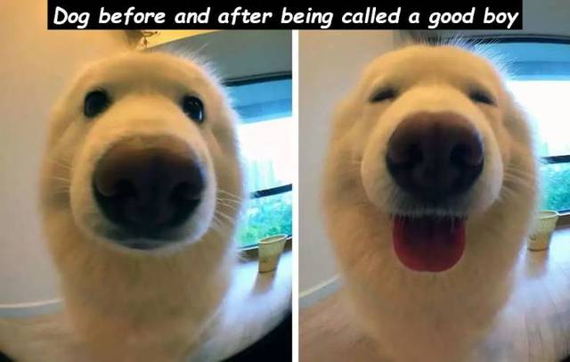 Bildschirmarbeiter - Picdump 29.03.2019