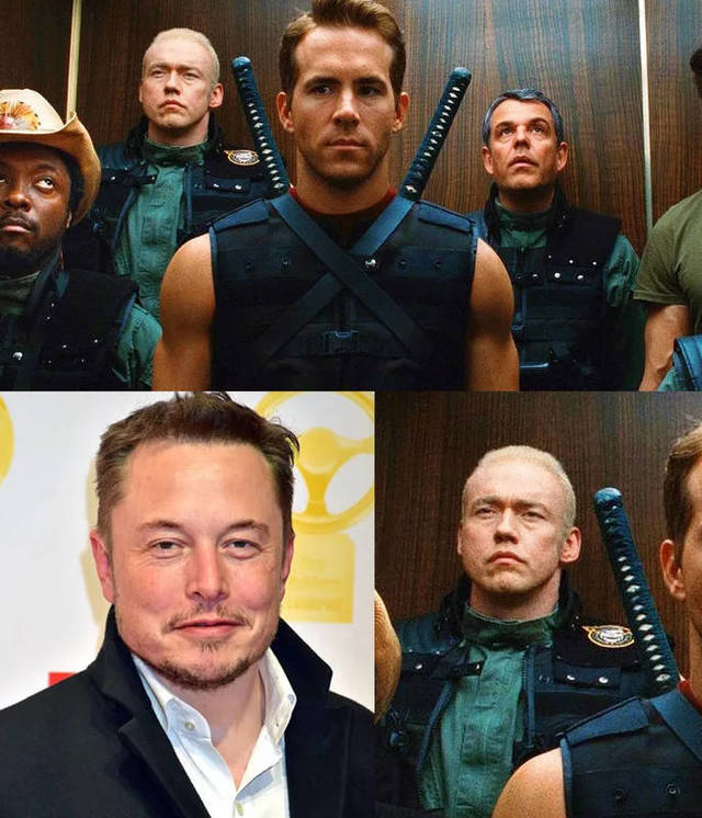 Bildschirmarbeiter - Picdump 29.03.2019