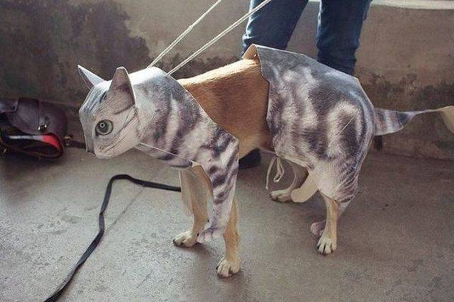 Bildschirmarbeiter - Picdump 29.03.2019