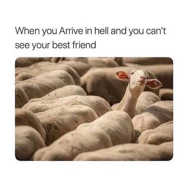 Bildschirmarbeiter - Picdump 29.03.2019