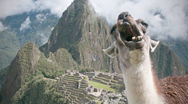 Bildschirmarbeiter - Picdump 12.04.2019