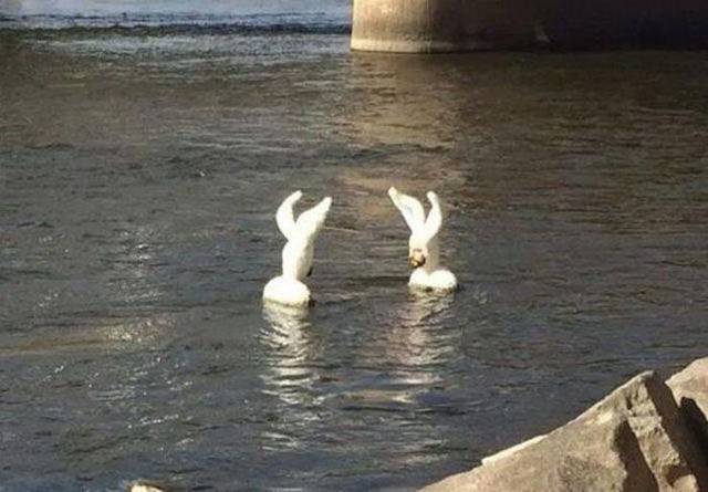 Bildschirmarbeiter - Picdump 12.04.2019