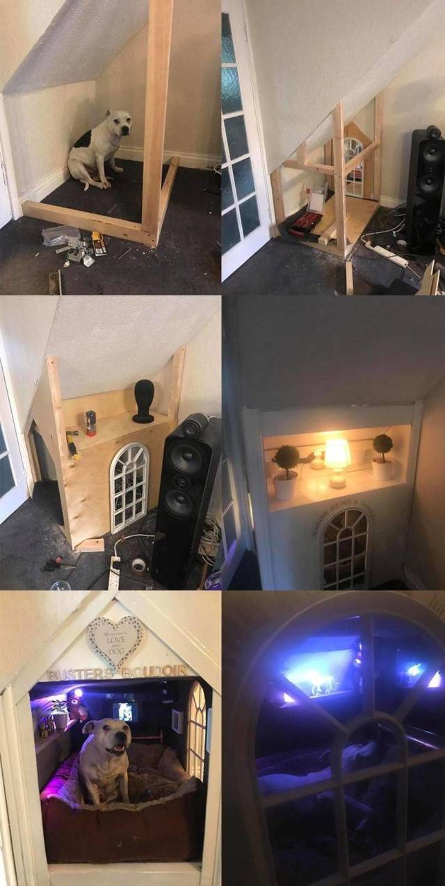 Bildschirmarbeiter - Picdump 12.04.2019