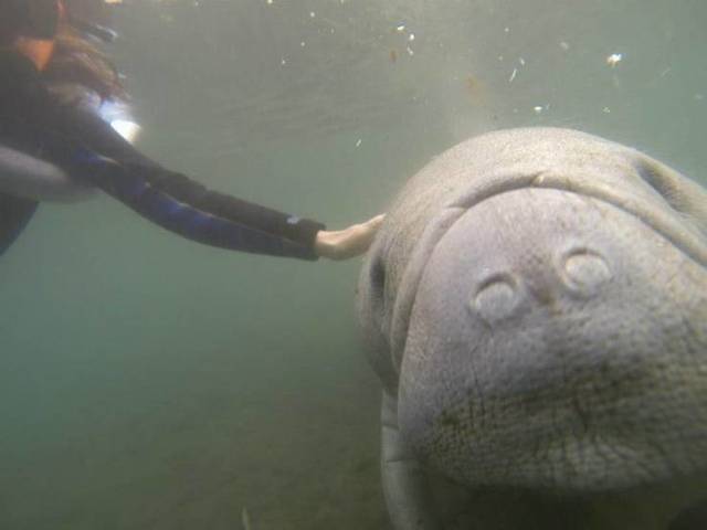 Bildschirmarbeiter - Picdump 12.04.2019