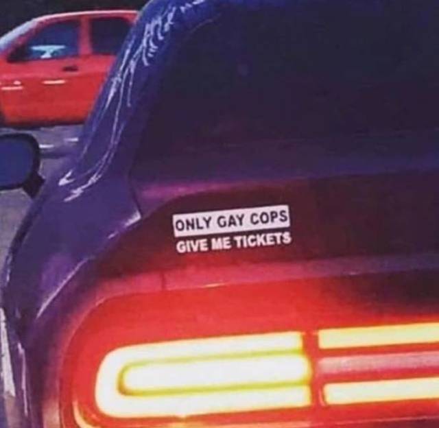 Bildschirmarbeiter - Picdump 12.04.2019