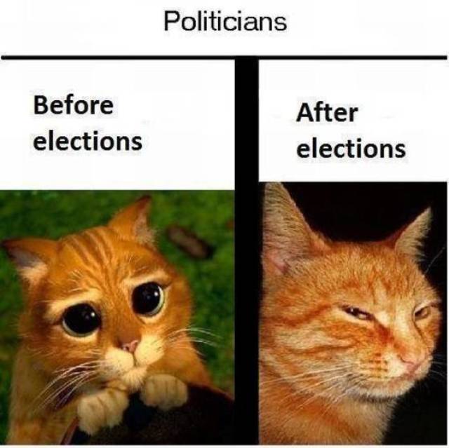 Bildschirmarbeiter - Picdump 12.04.2019