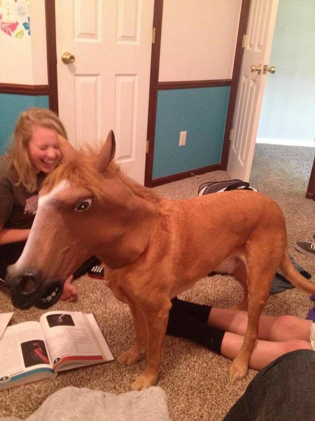 Bildschirmarbeiter - Picdump 12.04.2019