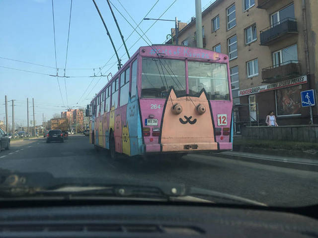 Bildschirmarbeiter - Picdump 12.04.2019