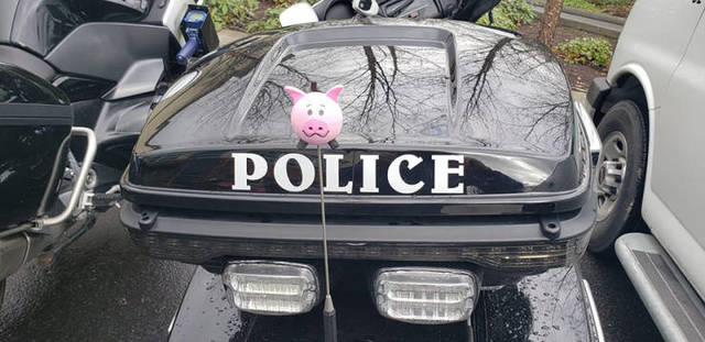 Bildschirmarbeiter - Picdump 12.04.2019