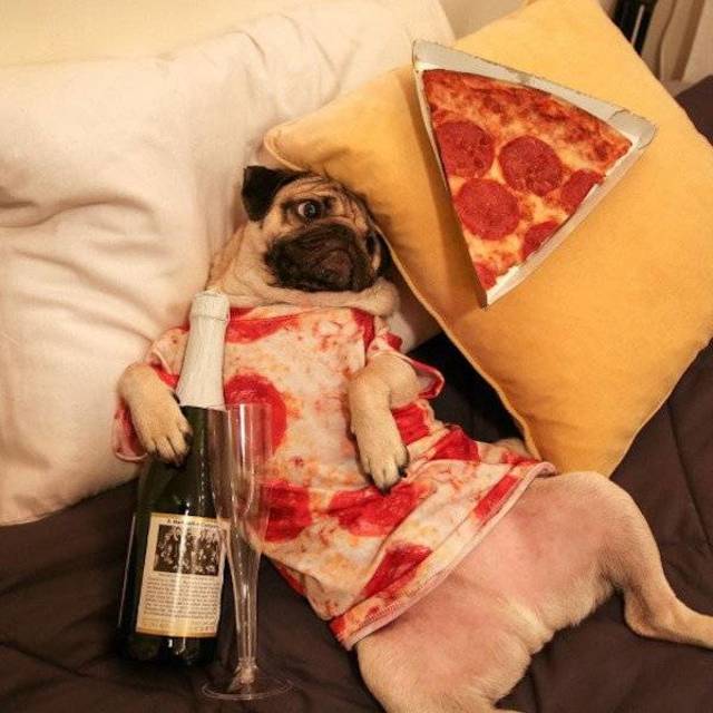 Bildschirmarbeiter - Picdump 12.04.2019