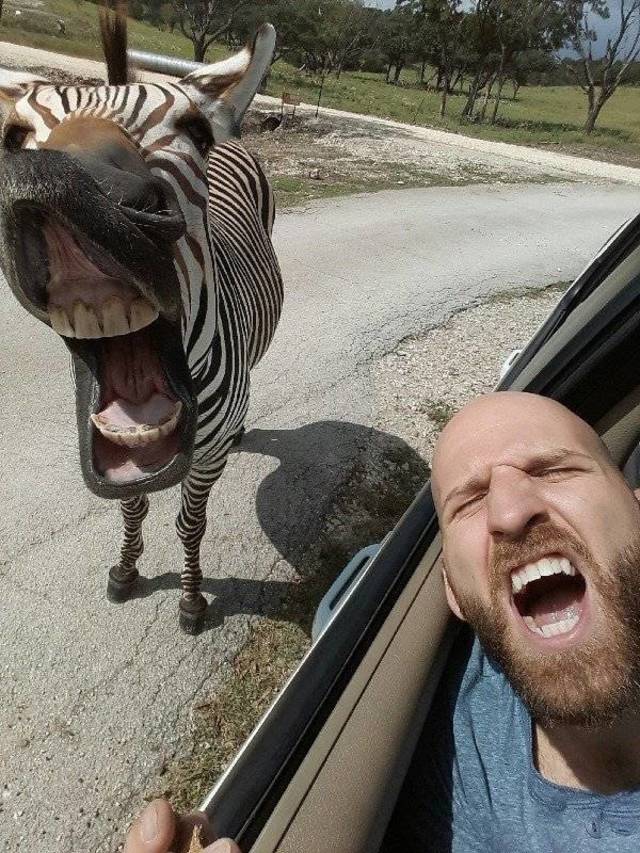 Bildschirmarbeiter - Picdump 12.04.2019