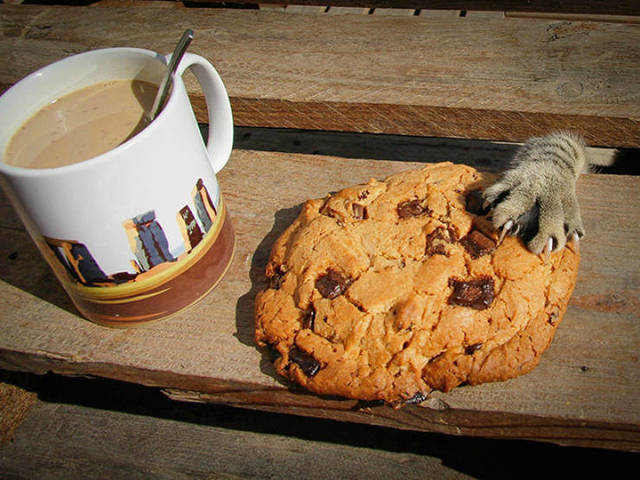 Bildschirmarbeiter - Picdump 19.04.2019