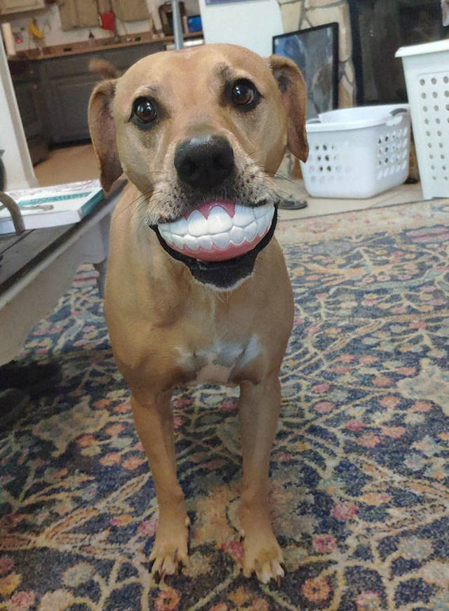 Bildschirmarbeiter - Picdump 19.04.2019