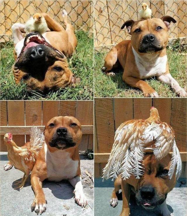 Bildschirmarbeiter - Picdump 19.04.2019