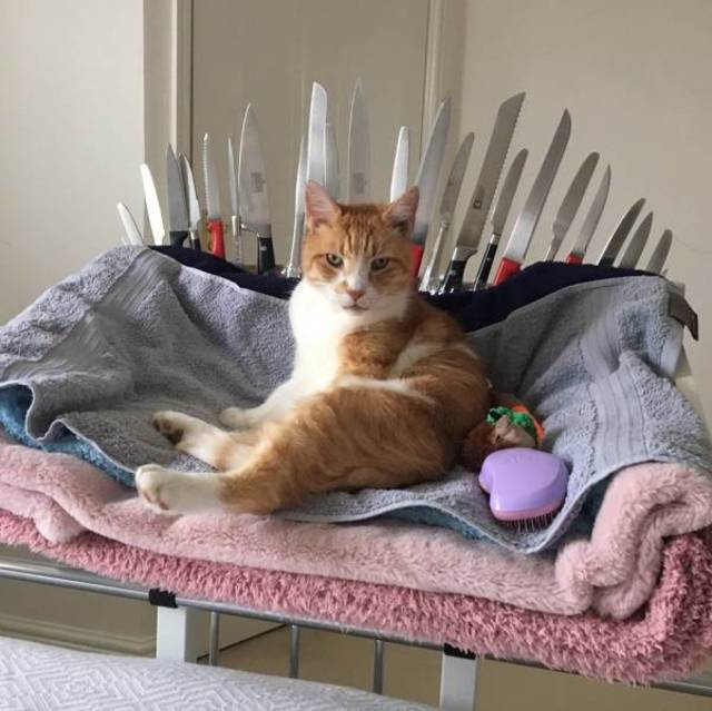 Bildschirmarbeiter - Picdump 19.04.2019