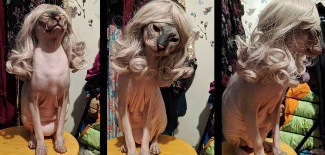 Bildschirmarbeiter - Picdump 19.04.2019