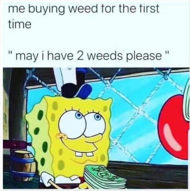 Bildschirmarbeiter - Picdump 19.04.2019