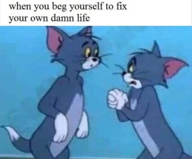 Bildschirmarbeiter - Picdump 19.04.2019