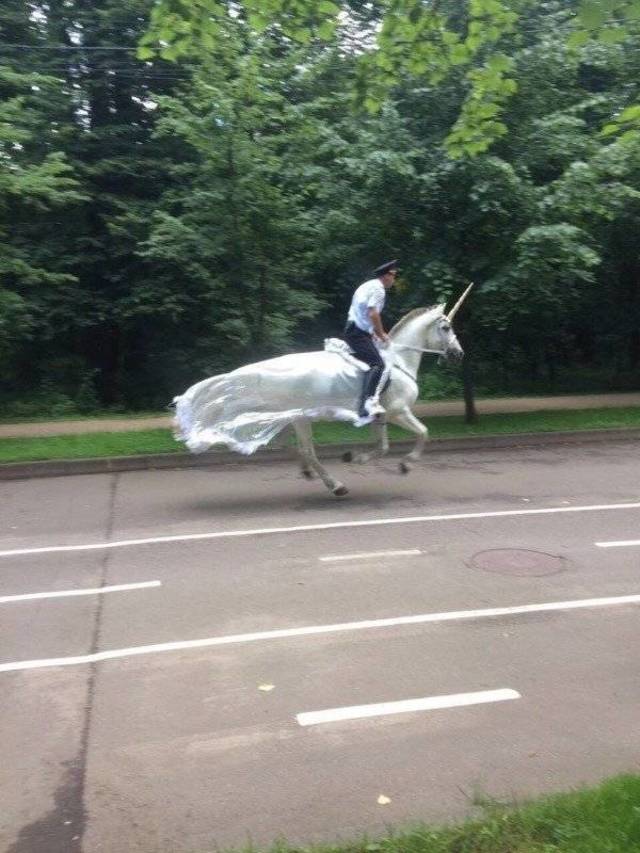 Bildschirmarbeiter - Picdump 19.04.2019