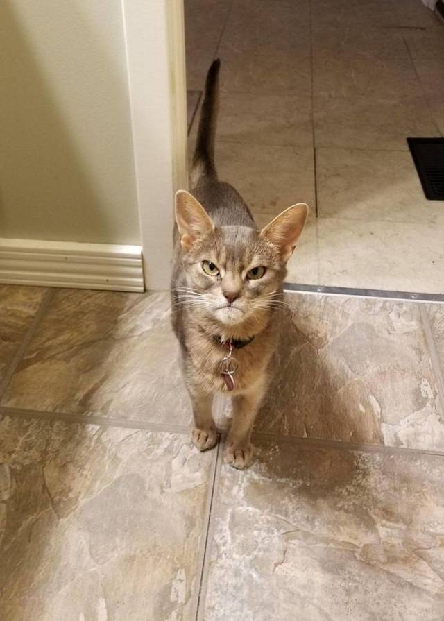 Bildschirmarbeiter - Picdump 26.04.2019