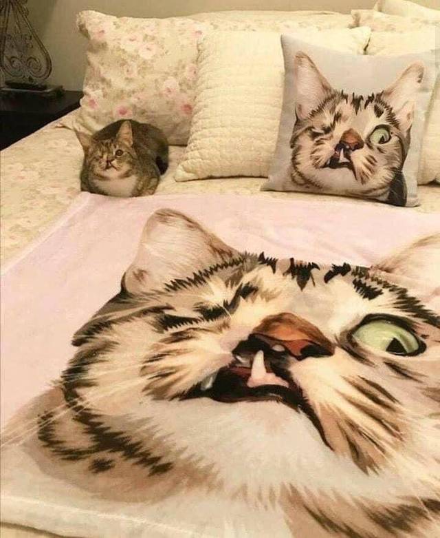 Bildschirmarbeiter - Picdump 26.04.2019