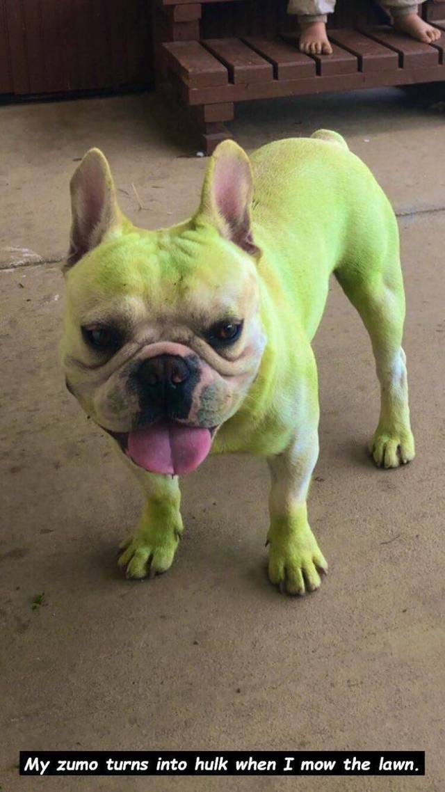 Bildschirmarbeiter - Picdump 26.04.2019