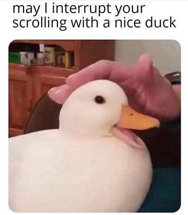 Bildschirmarbeiter - Picdump 26.04.2019