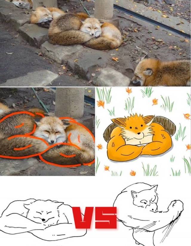 Bildschirmarbeiter - Picdump 26.04.2019