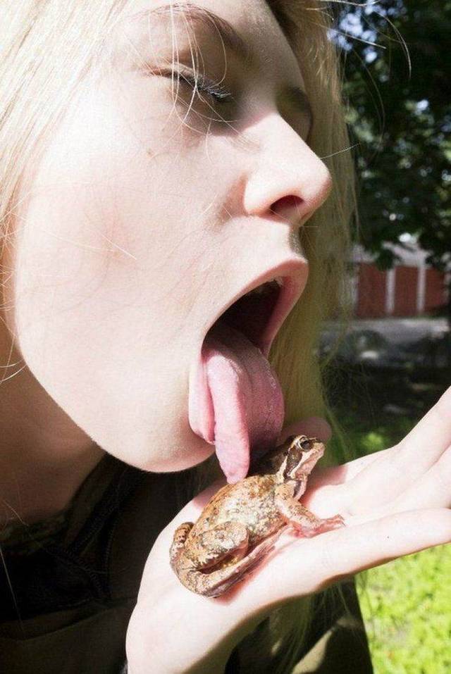 Bildschirmarbeiter - Picdump 26.04.2019