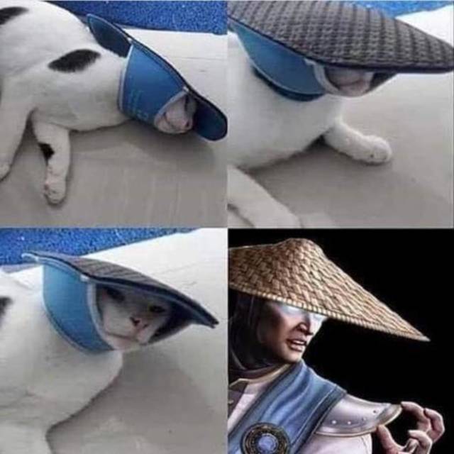 Bildschirmarbeiter - Picdump 05.04.2019