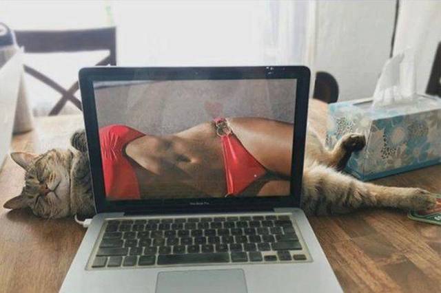 Bildschirmarbeiter - Picdump 05.04.2019