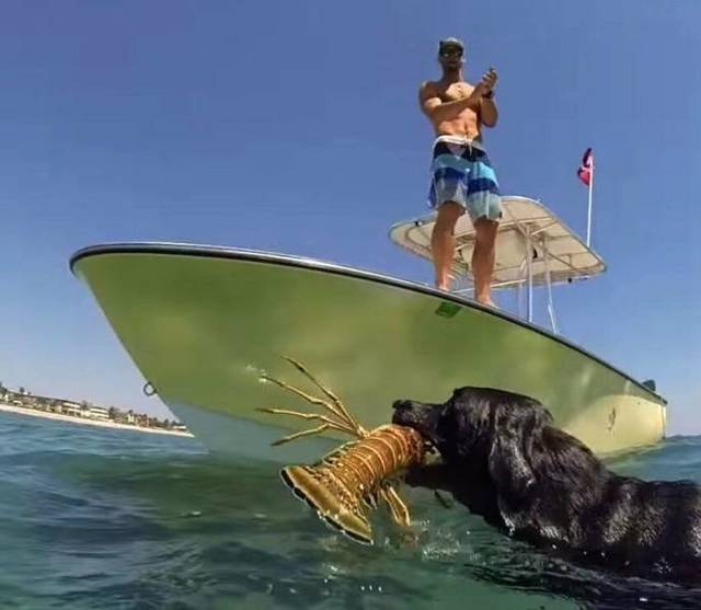 Bildschirmarbeiter - Picdump 05.04.2019