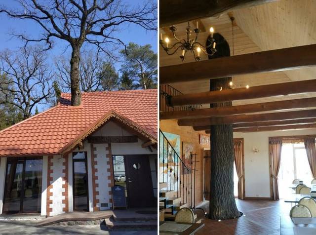 Bildschirmarbeiter - Picdump 05.04.2019