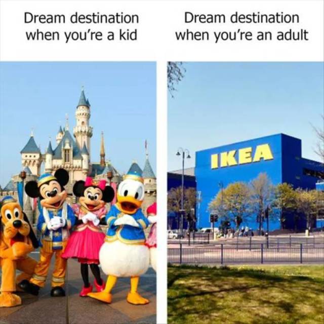 Bildschirmarbeiter - Picdump 05.04.2019