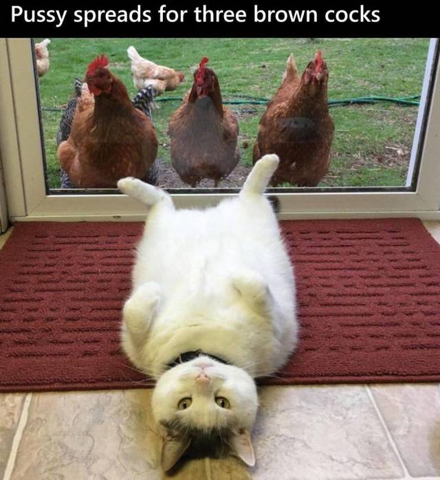 Bildschirmarbeiter - Picdump 05.04.2019