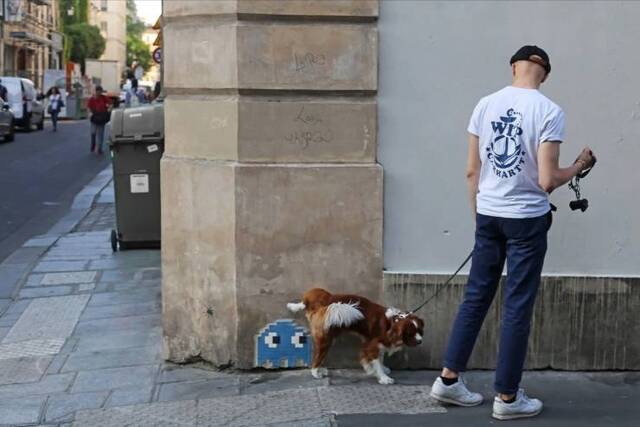 Bildschirmarbeiter - Picdump 17.05.2019