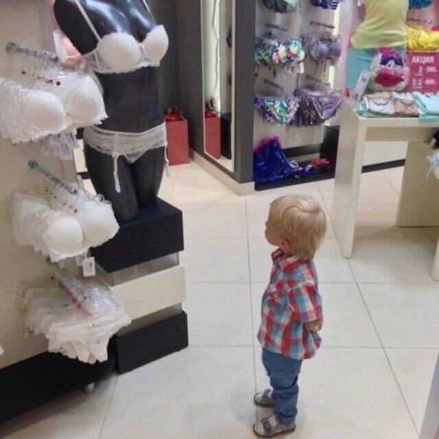 Bildschirmarbeiter - Picdump 17.05.2019