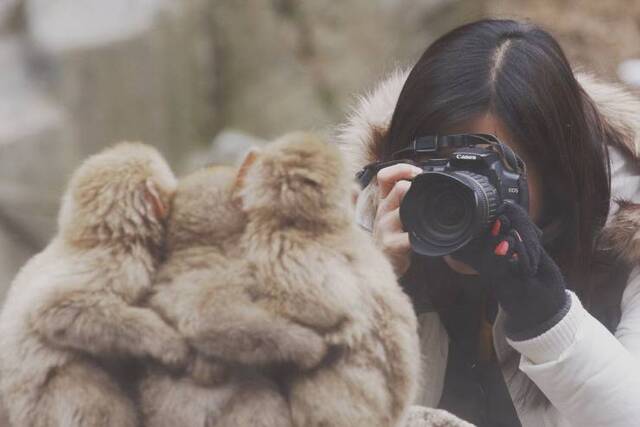 Bildschirmarbeiter - Picdump 17.05.2019