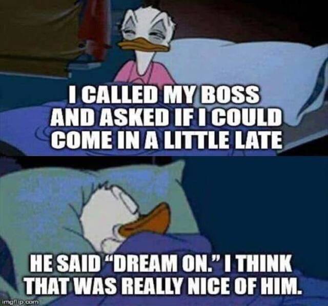 Bildschirmarbeiter - Picdump 17.05.2019