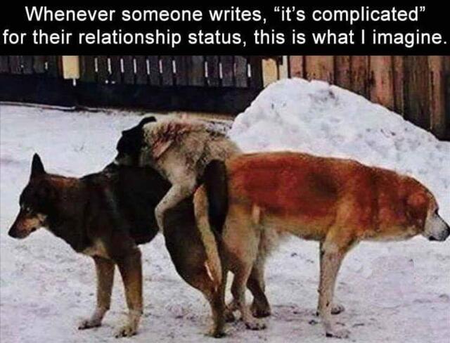 Bildschirmarbeiter - Picdump 17.05.2019