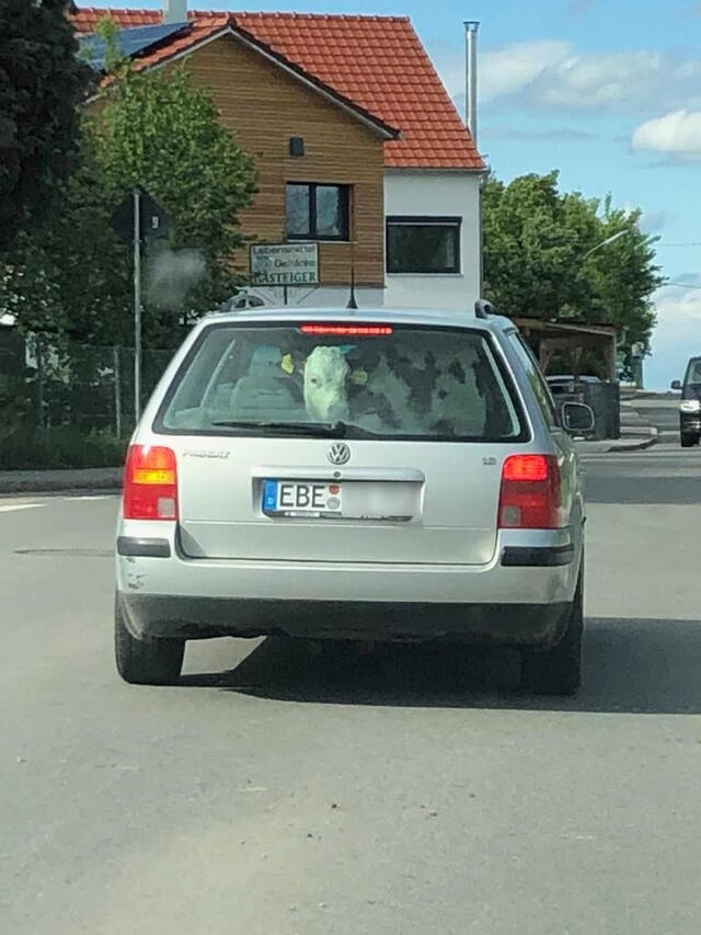 Bildschirmarbeiter - Picdump 17.05.2019
