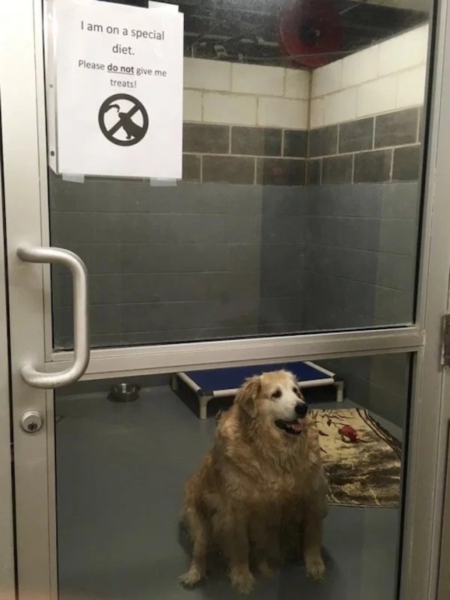 Bildschirmarbeiter - Picdump 17.05.2019