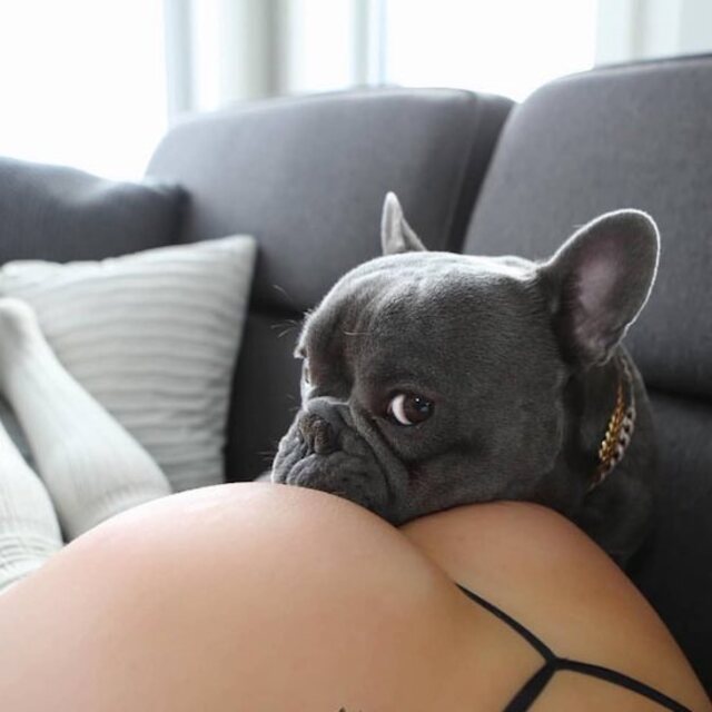 Bildschirmarbeiter - Picdump 17.05.2019